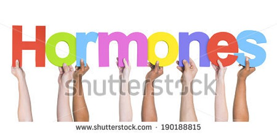Hormones Hormones