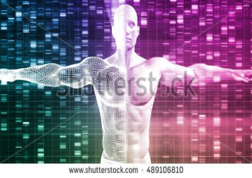 Body