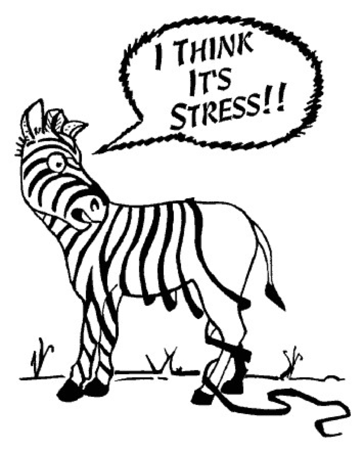 Zebra Comic Zebra Comic