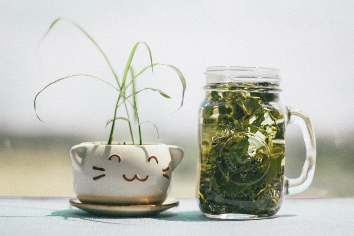 Hypertension Herbs Hypertension Herbs