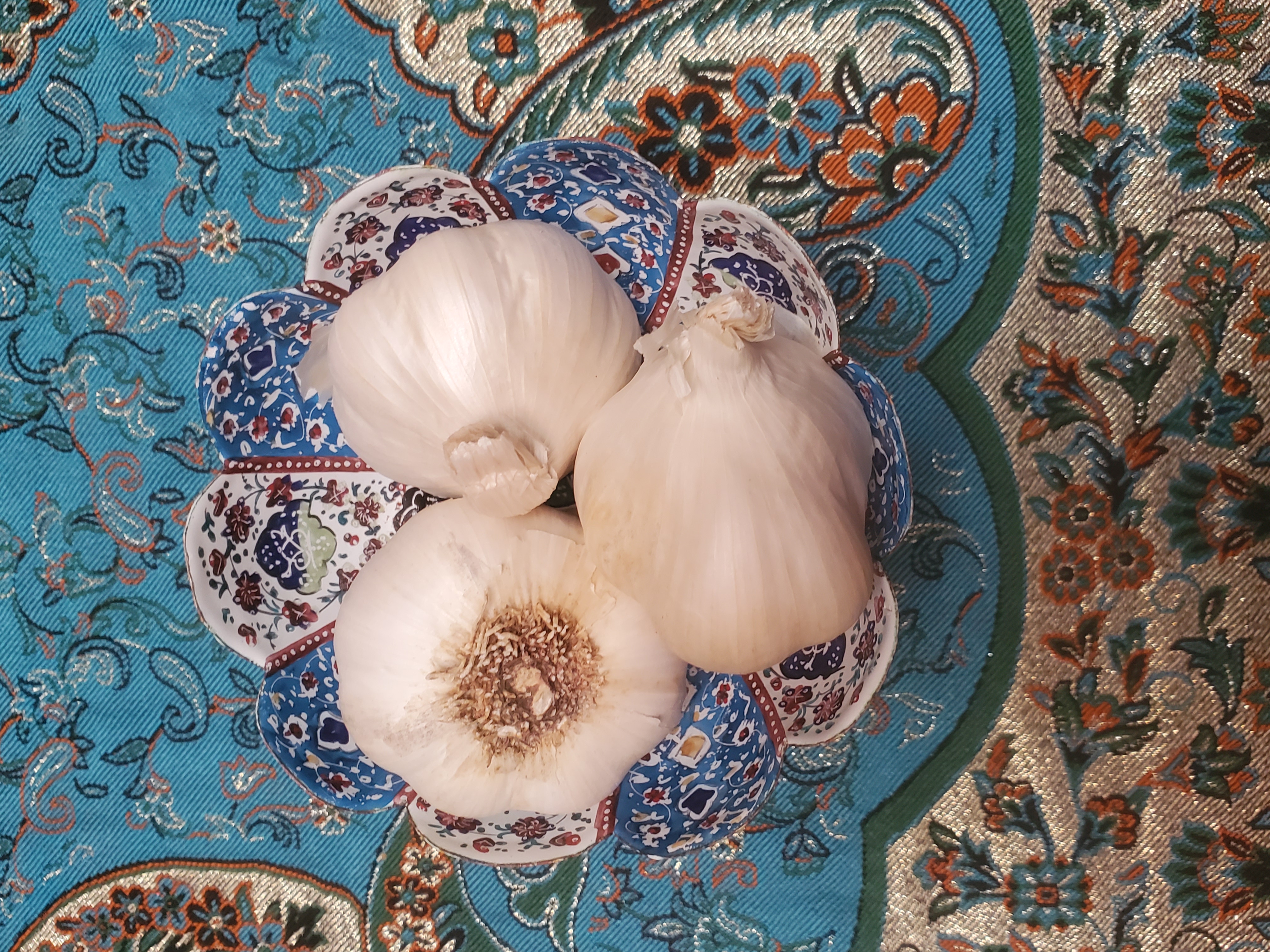 Garlic Medicine Garlic Medicine